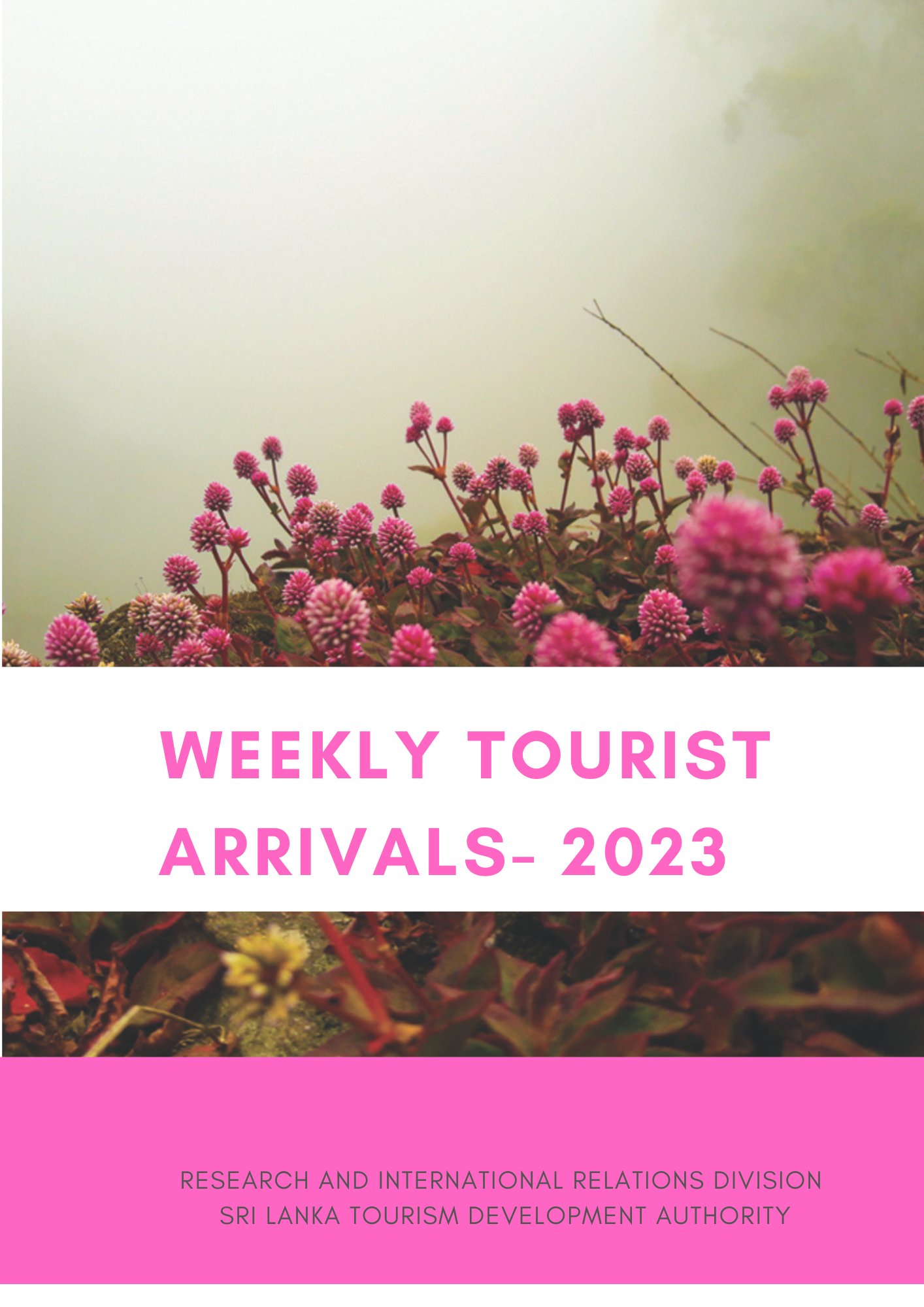 sri lanka tourist numbers 2023